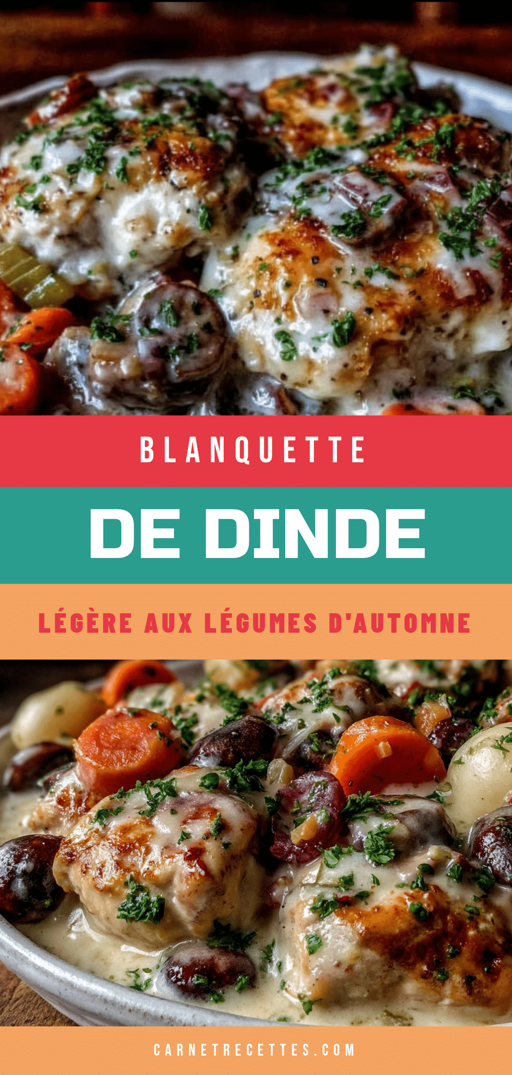 blanquette de dinde légère recipe